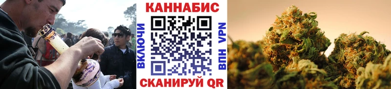 Марихуана конопля  Балтийск 
